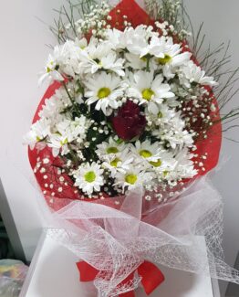 beyaz papatya tek kırmızı gül