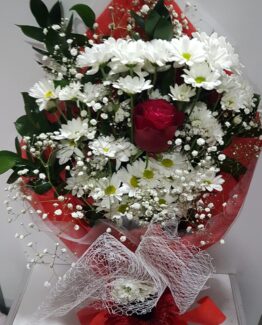 beyaz papatya tek kırmızı gül