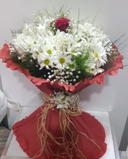 beyaz papatya tek kırmızı gül