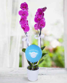2 dal mor orkide