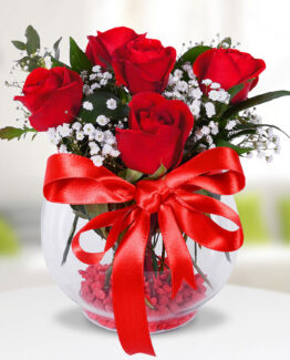 5 kırmızı gül fanus