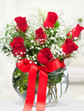 7 kırmızı gül fanus