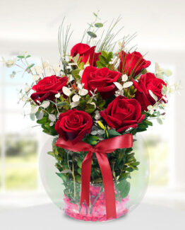 7 kırmızı gül fanus