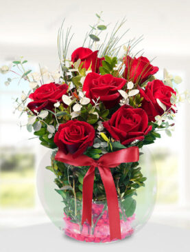 7 kırmızı gül fanus