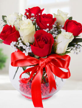 5 kırmızı gül 4 beyaz gül fanus