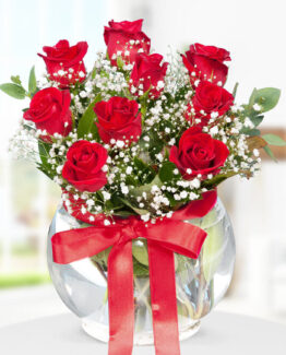 9 kırmızı gül fanus