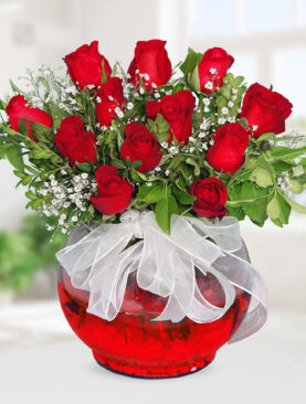 12 kırmızı gül fanus