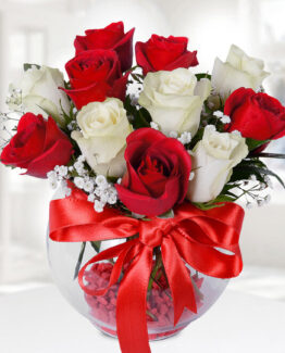 6 kırmızı gül 5 beyaz gül fanus