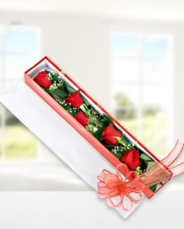 5 kırmızı gül kutu