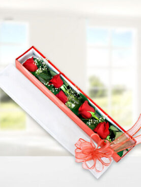 5 kırmızı gül kutu