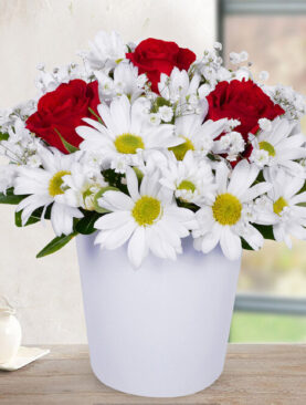 3 kırmızı gül beyaz papatya seramik