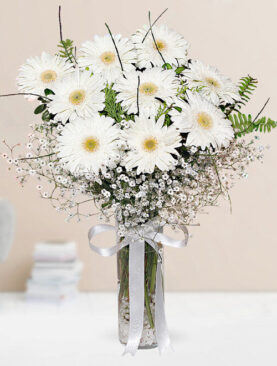 9 beyaz gerbera vazo