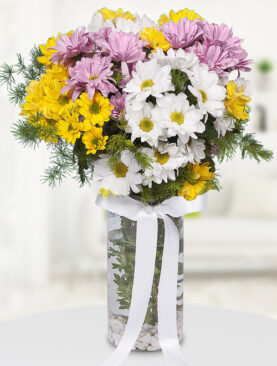 renkli papatyalar vazo