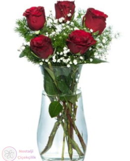 Vazoda 5'li Kırmızı Gül