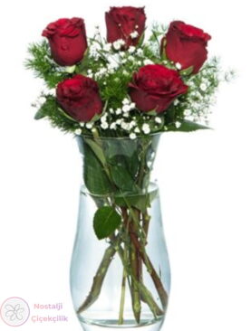 Vazoda 5'li Kırmızı Gül