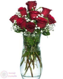Vazoda 9'lu Kırmızı Gül