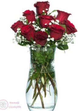 Vazoda 9'lu Kırmızı Gül